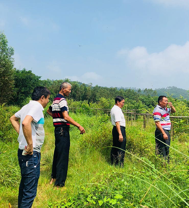 J9集团直营·(中国)官方网站