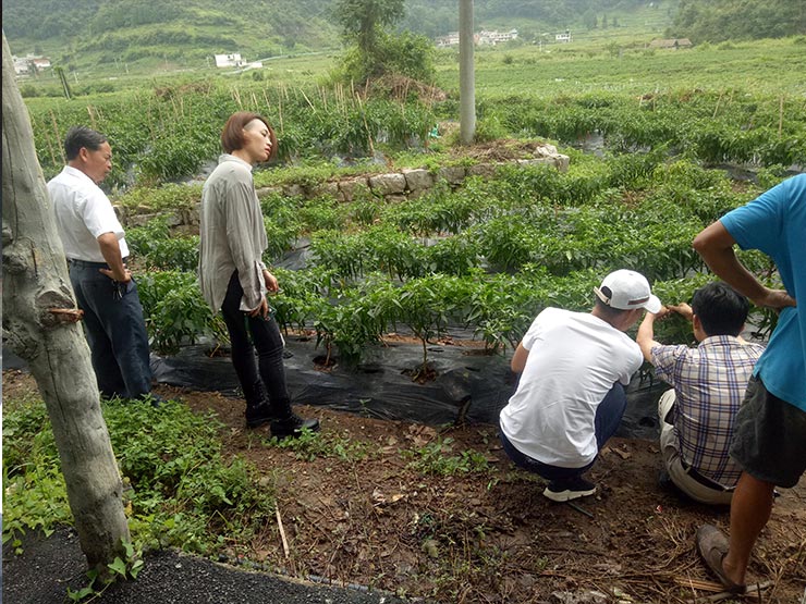 J9集团直营·(中国)官方网站