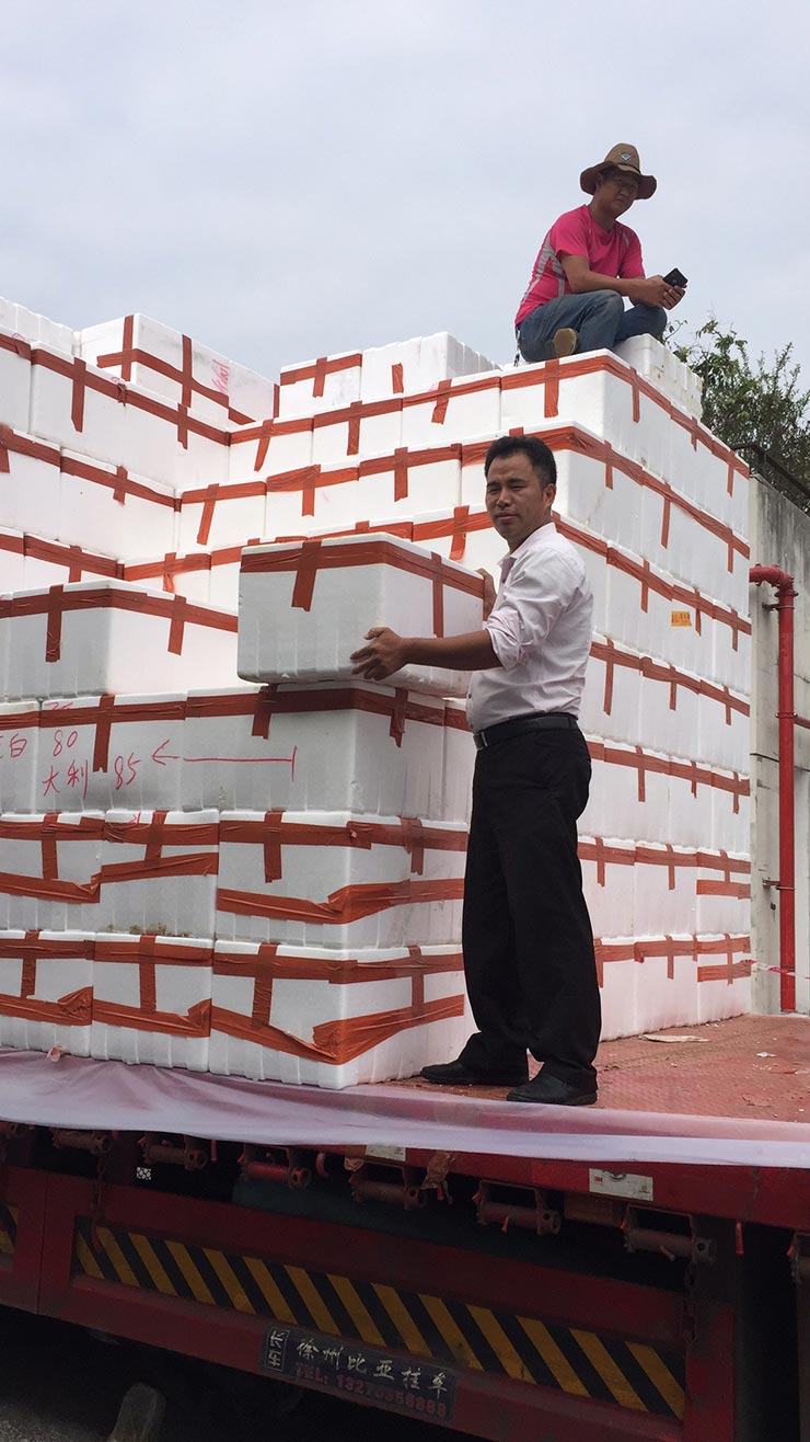 J9集团直营·(中国)官方网站