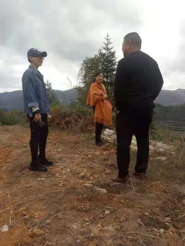 J9集团直营·(中国)官方网站