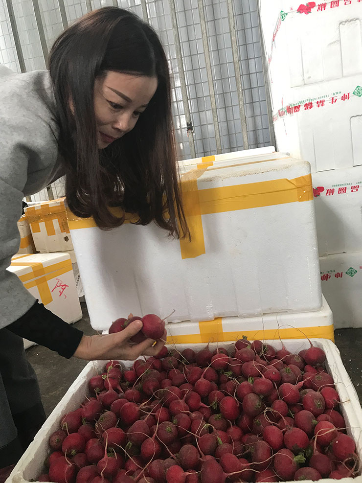 J9集团直营·(中国)官方网站