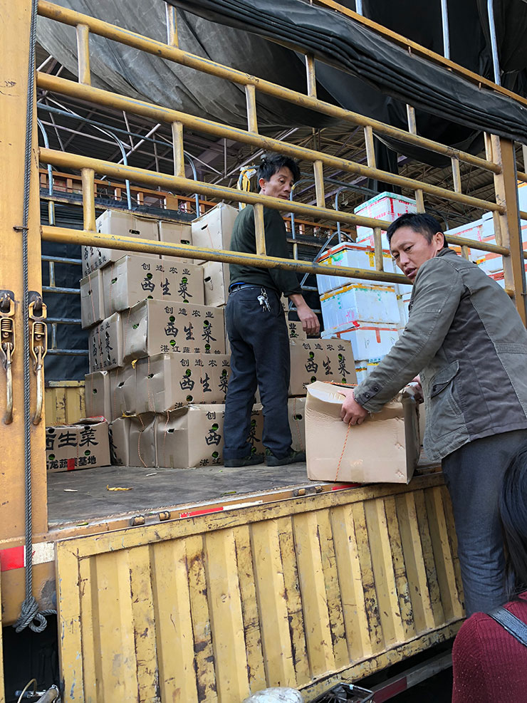 J9集团直营·(中国)官方网站