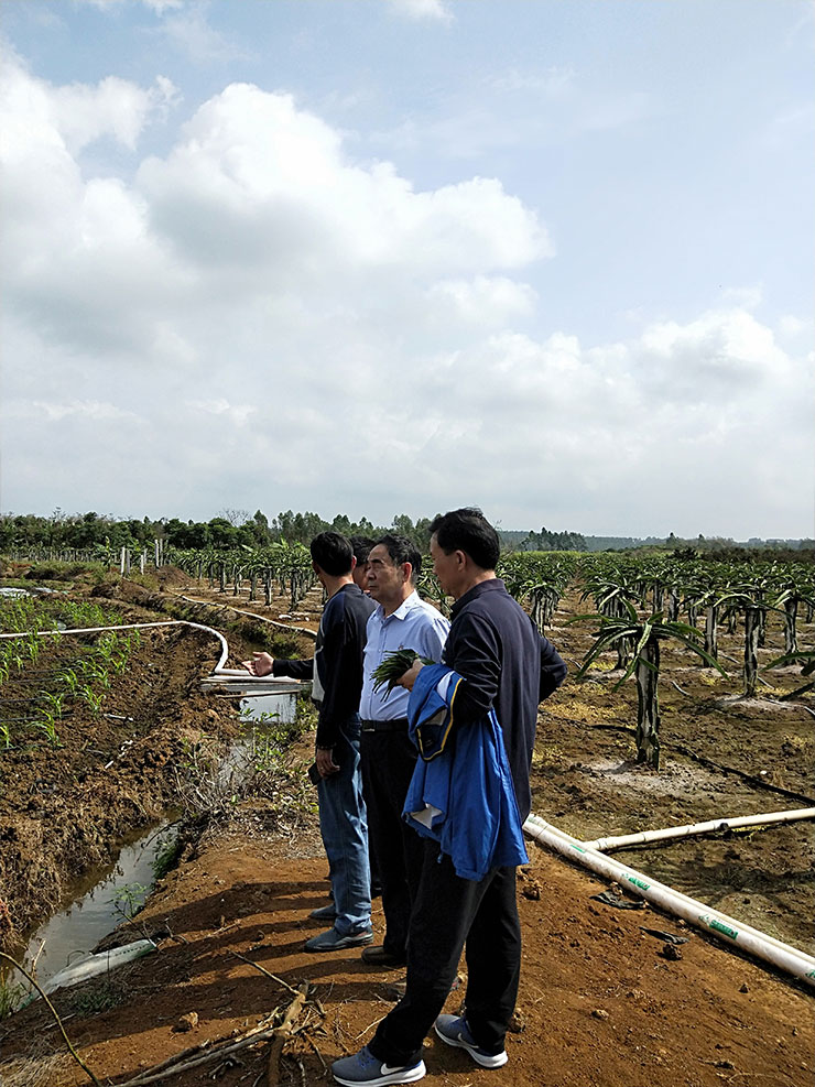 J9集团直营·(中国)官方网站