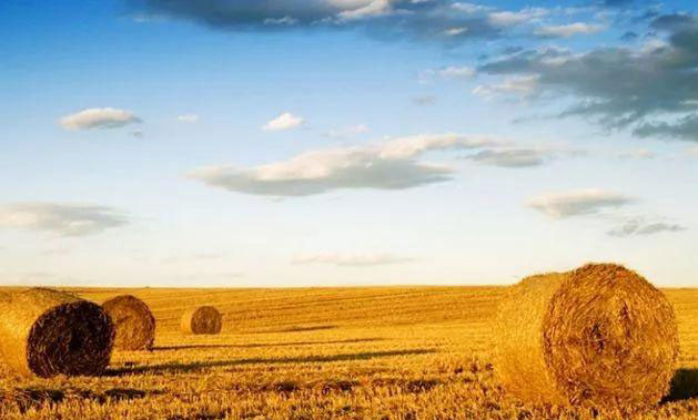 J9集团直营·(中国)官方网站