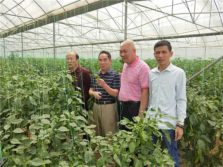 J9集团直营·(中国)官方网站