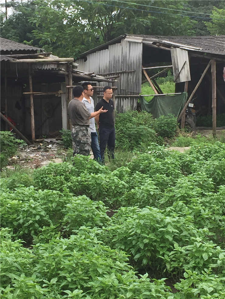 J9集团直营·(中国)官方网站