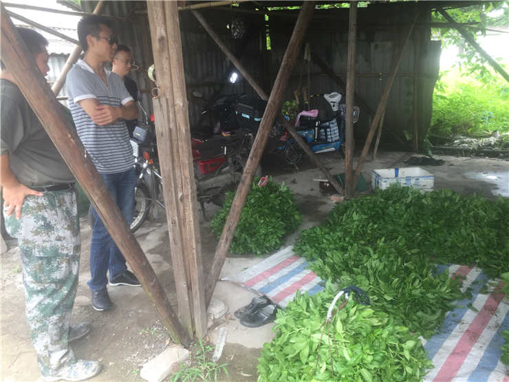 J9集团直营·(中国)官方网站