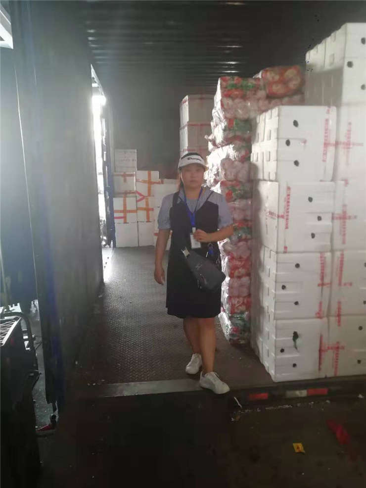 J9集团直营·(中国)官方网站