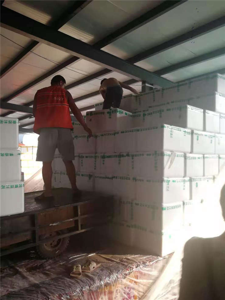 J9集团直营·(中国)官方网站