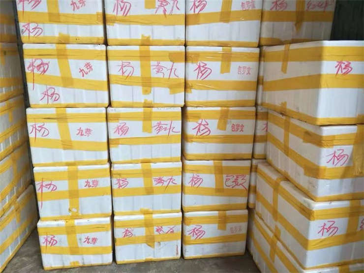 J9集团直营·(中国)官方网站