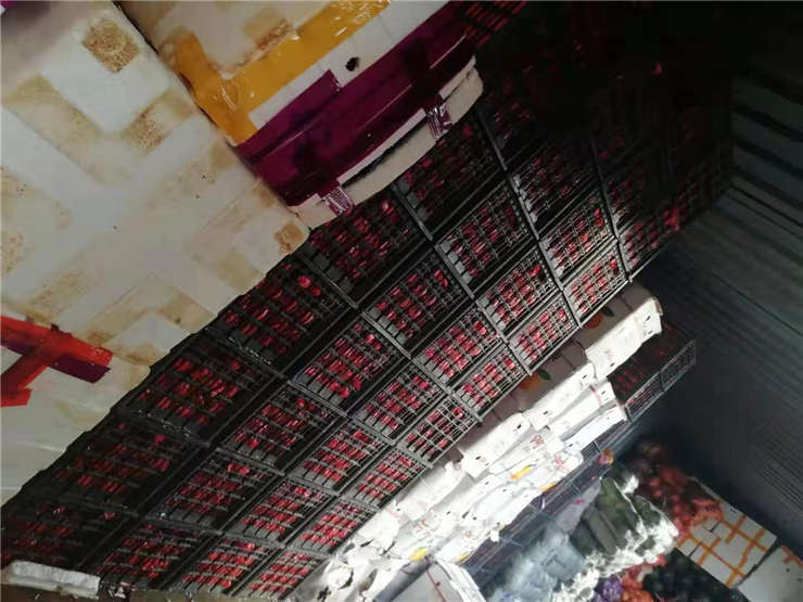 J9集团直营·(中国)官方网站