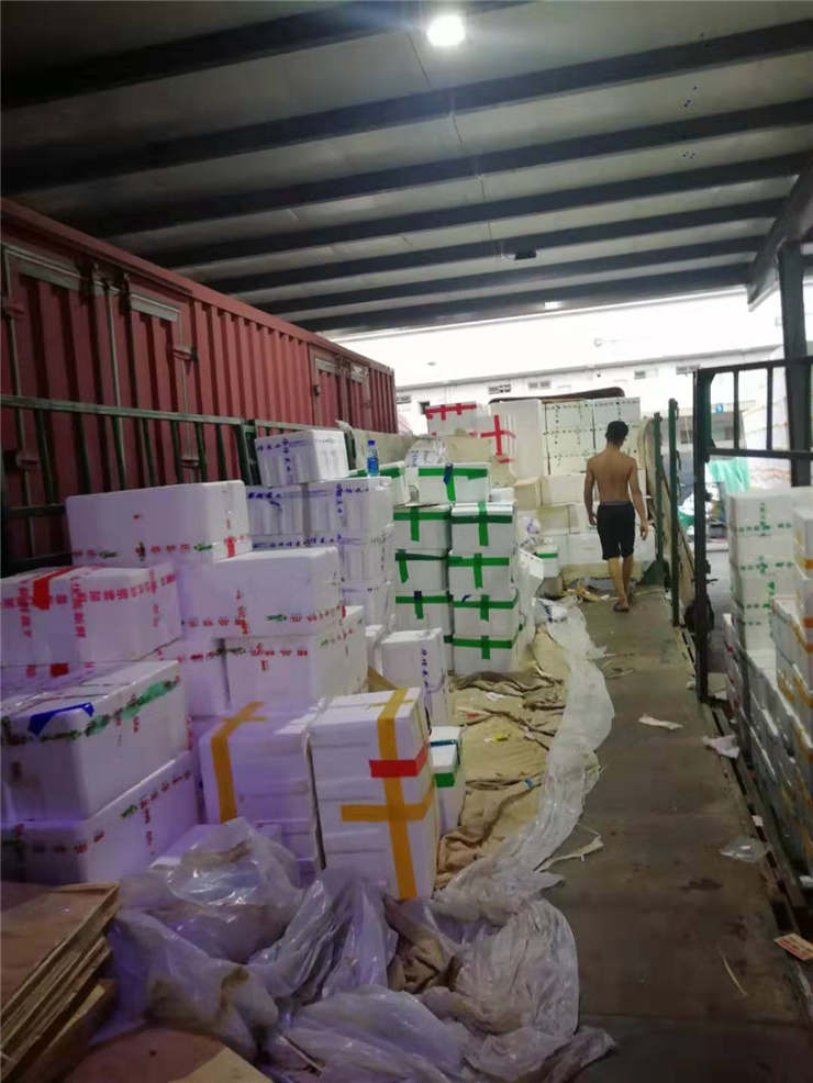 J9集团直营·(中国)官方网站