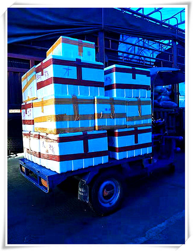 J9集团直营·(中国)官方网站