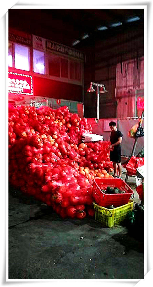 J9集团直营·(中国)官方网站