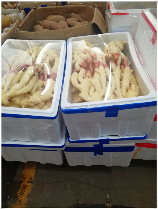 J9集团直营·(中国)官方网站