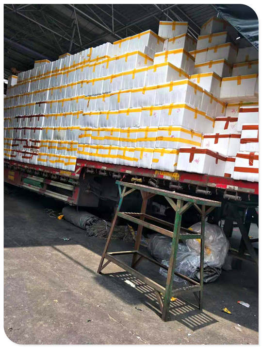 J9集团直营·(中国)官方网站