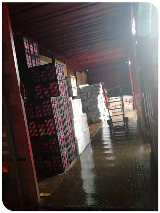 J9集团直营·(中国)官方网站