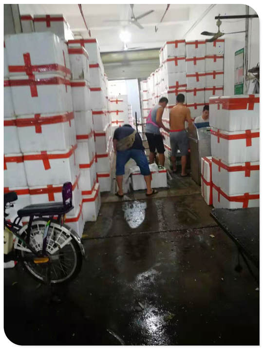 J9集团直营·(中国)官方网站