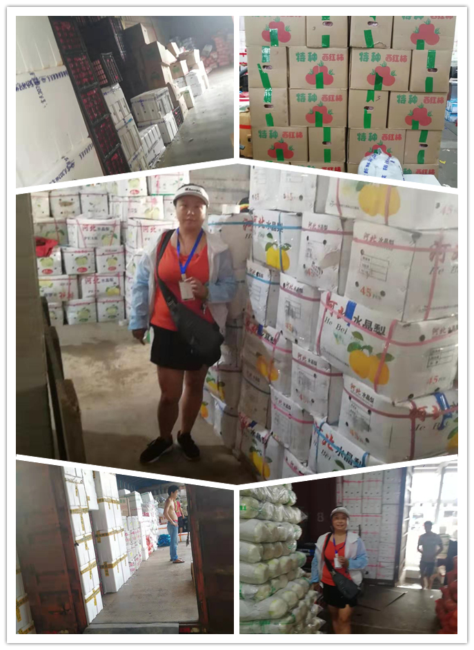 J9集团直营·(中国)官方网站