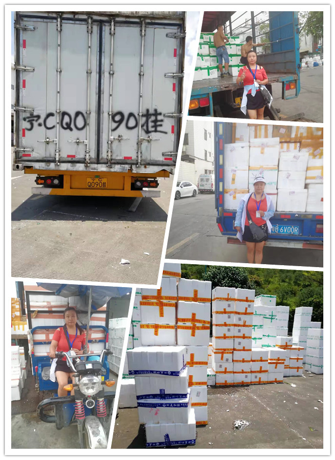 J9集团直营·(中国)官方网站