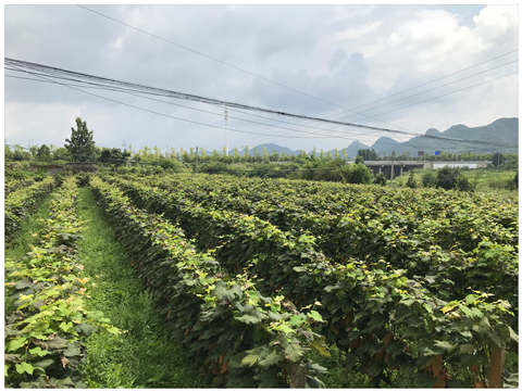 J9集团直营·(中国)官方网站