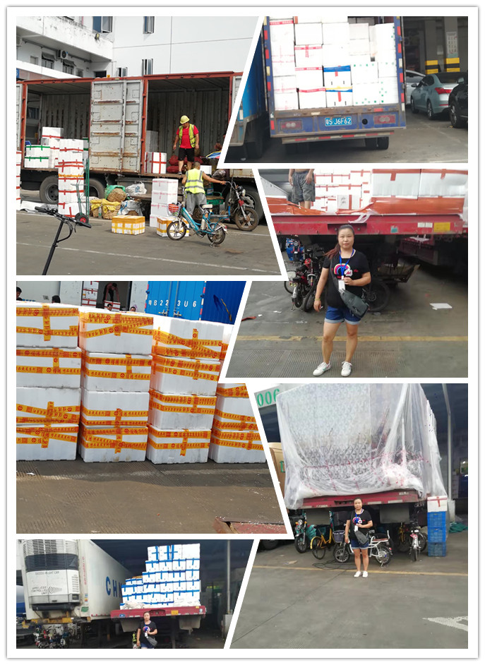 J9集团直营·(中国)官方网站