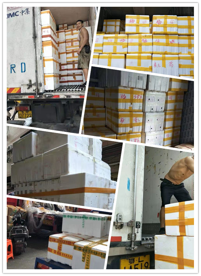 J9集团直营·(中国)官方网站