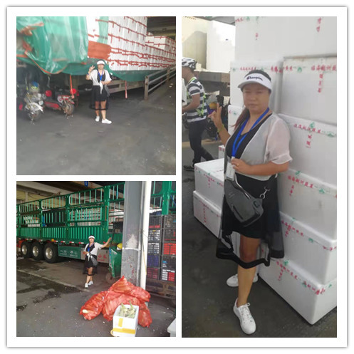 J9集团直营·(中国)官方网站