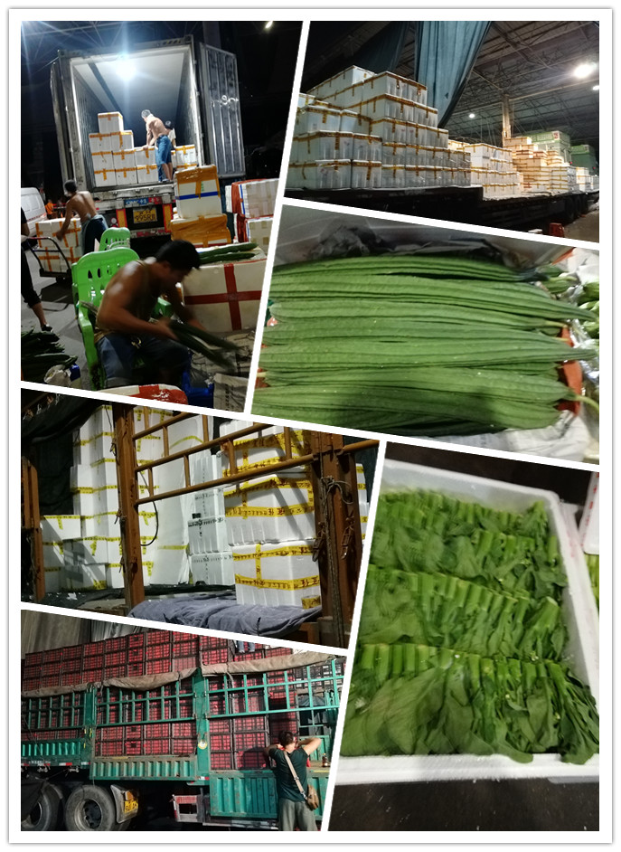 J9集团直营·(中国)官方网站