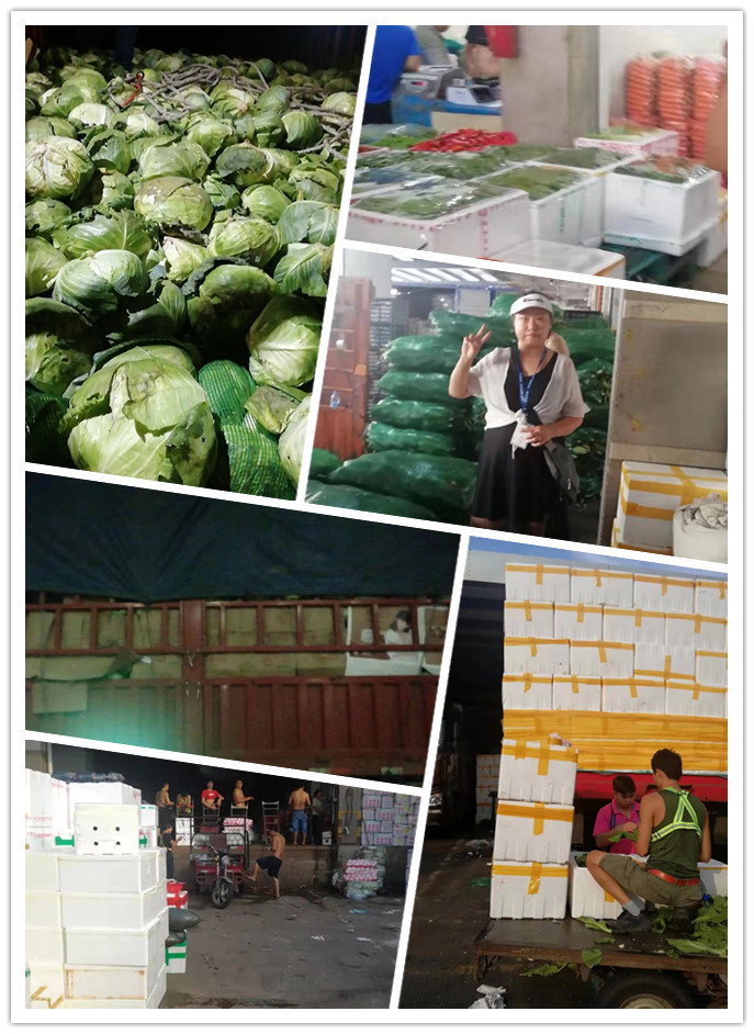 J9集团直营·(中国)官方网站