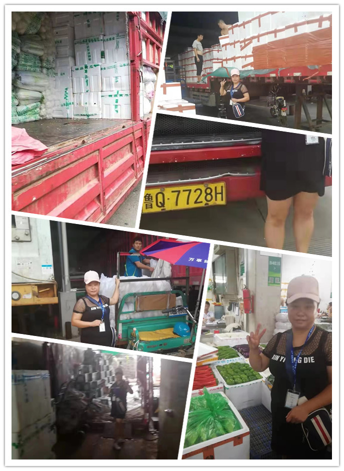 J9集团直营·(中国)官方网站