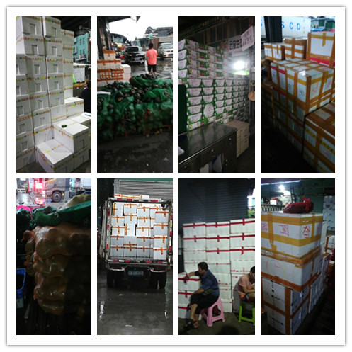 J9集团直营·(中国)官方网站