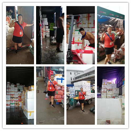 J9集团直营·(中国)官方网站