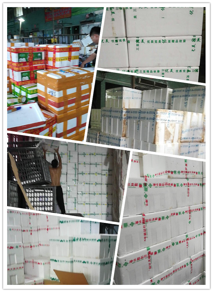 J9集团直营·(中国)官方网站