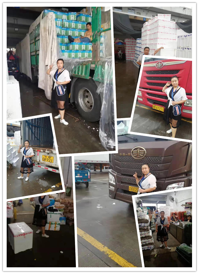 J9集团直营·(中国)官方网站