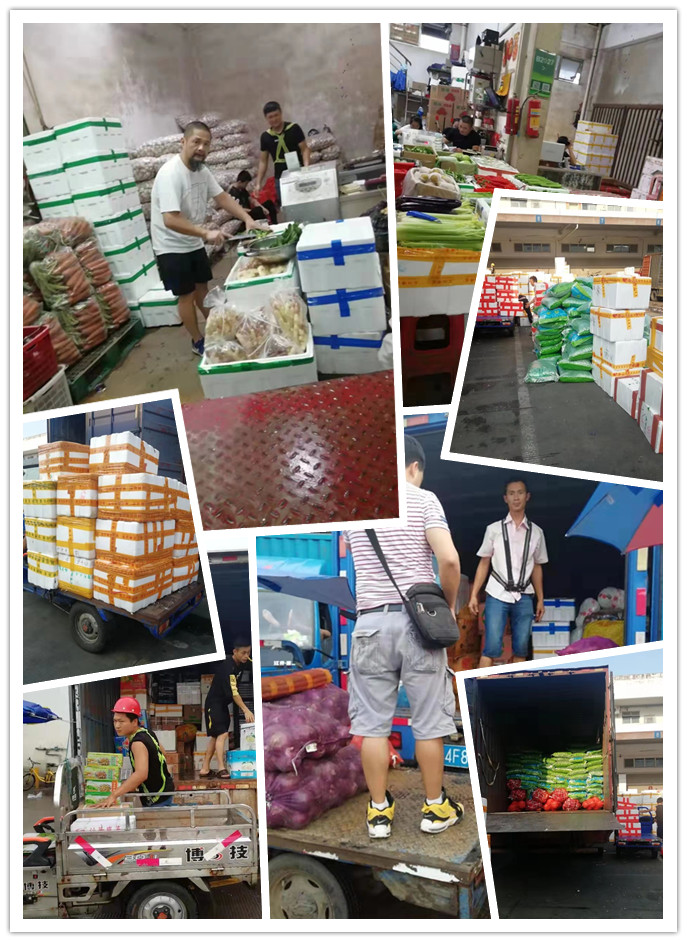 J9集团直营·(中国)官方网站