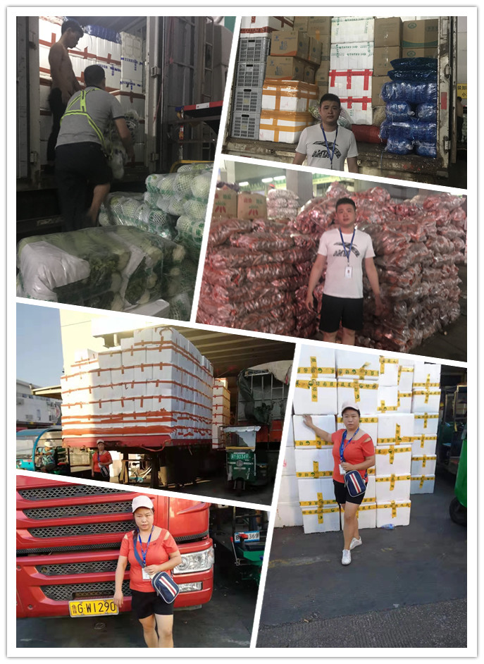 J9集团直营·(中国)官方网站