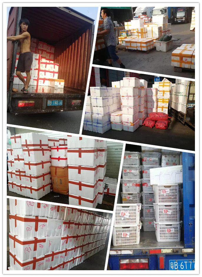 J9集团直营·(中国)官方网站