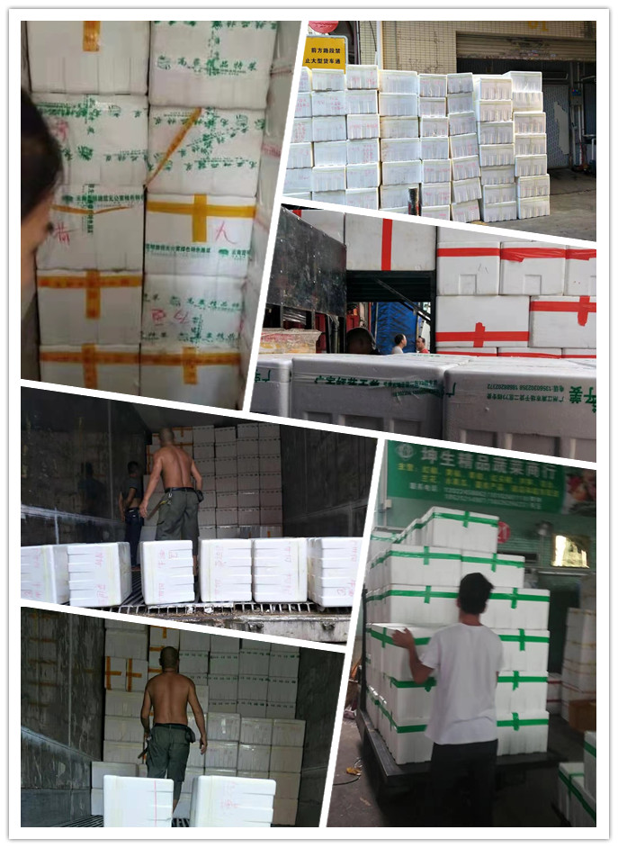 J9集团直营·(中国)官方网站