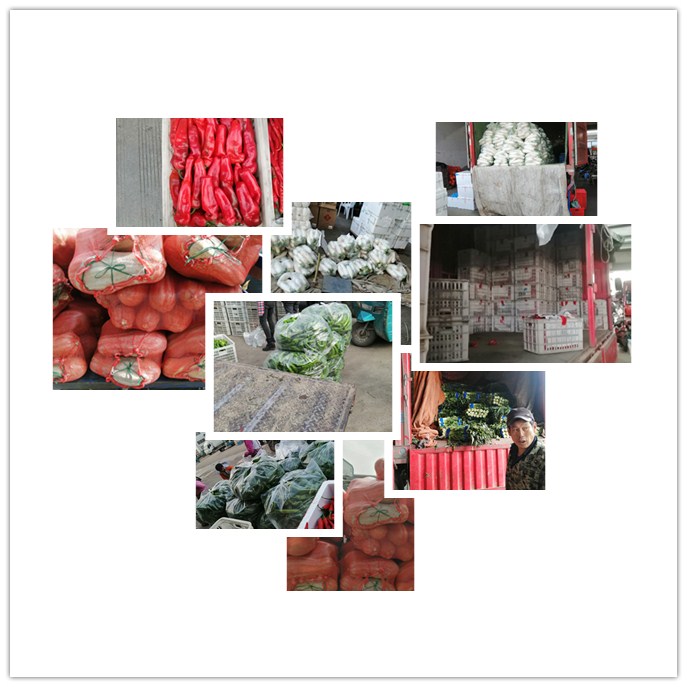 J9集团直营·(中国)官方网站