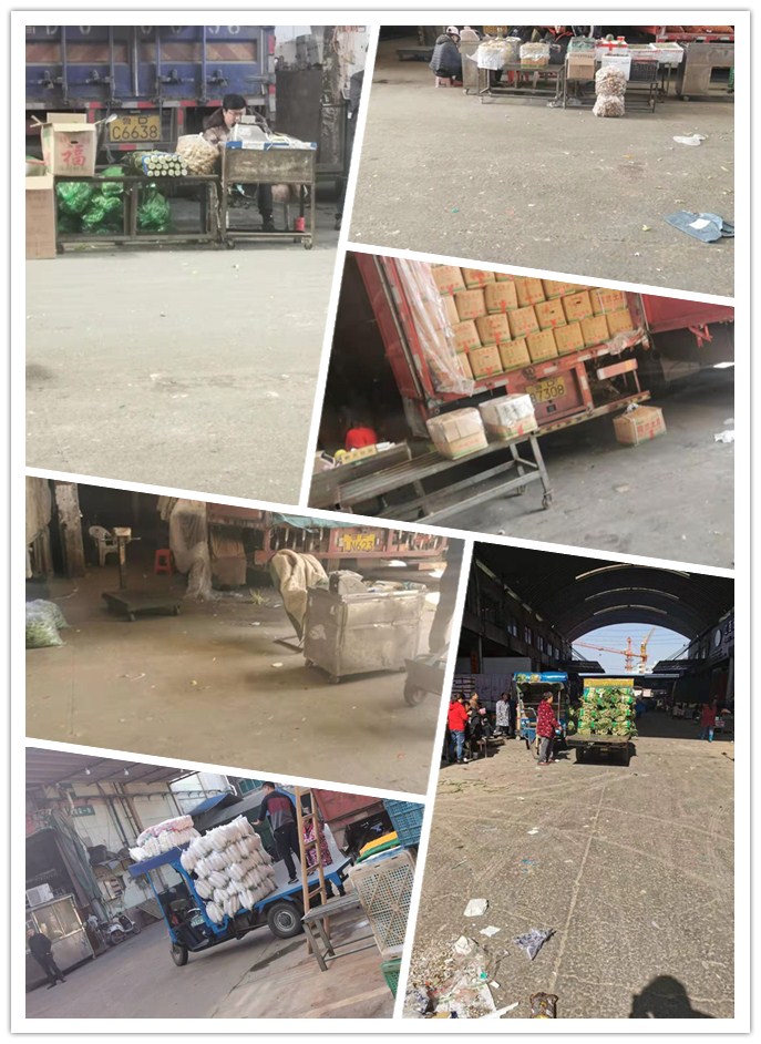 J9集团直营·(中国)官方网站