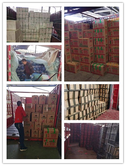 J9集团直营·(中国)官方网站