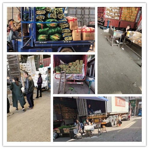 J9集团直营·(中国)官方网站