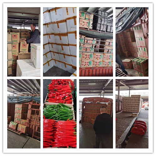 J9集团直营·(中国)官方网站