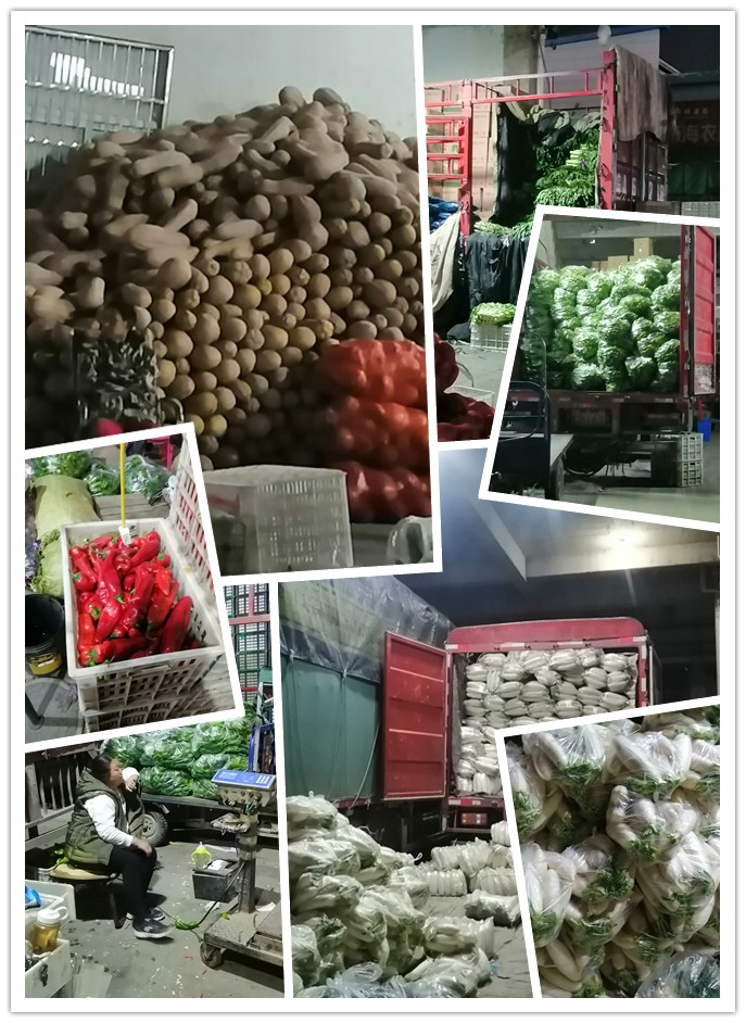 J9集团直营·(中国)官方网站