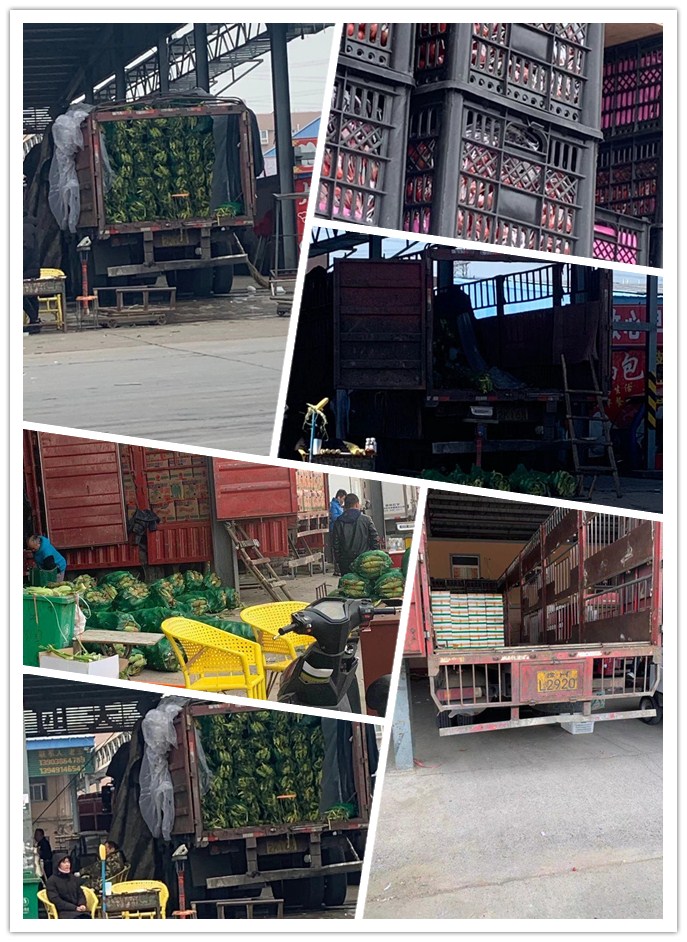 J9集团直营·(中国)官方网站