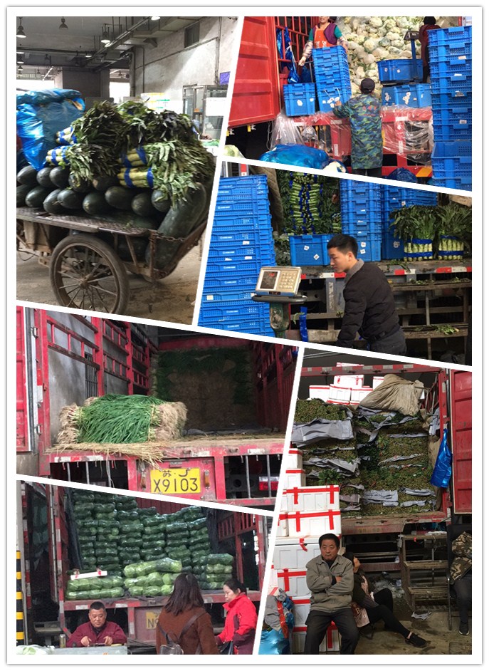 J9集团直营·(中国)官方网站