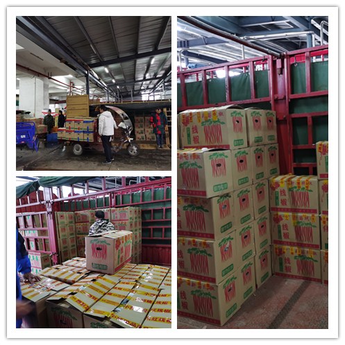 J9集团直营·(中国)官方网站