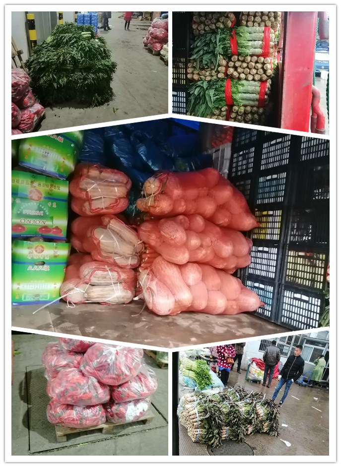 J9集团直营·(中国)官方网站