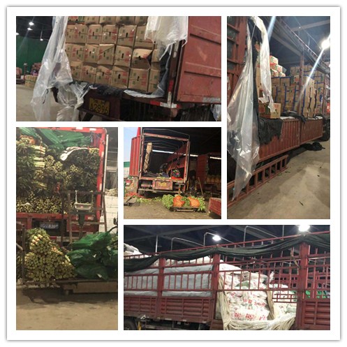 J9集团直营·(中国)官方网站